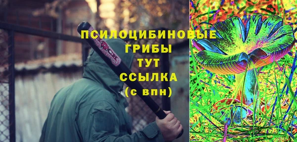 хмурый Балахна