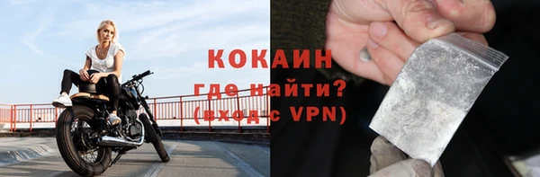 крисы Баксан