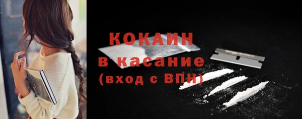 крисы Баксан