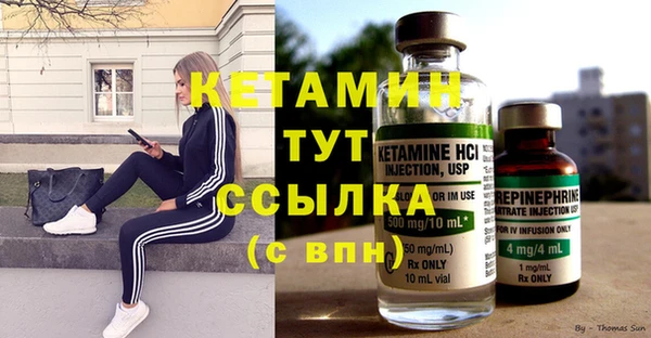 крисы Баксан