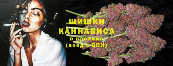 крисы Баксан