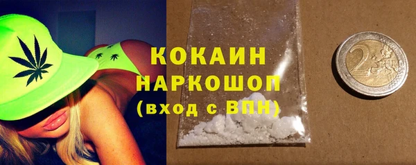 крисы Баксан