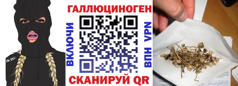 сколько стоит  Армавир  маркетплейс телеграм  Псилоцибиновые грибы Psilocybine cubensis 